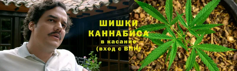 дарнет шоп  Вичуга  Канабис Amnesia 